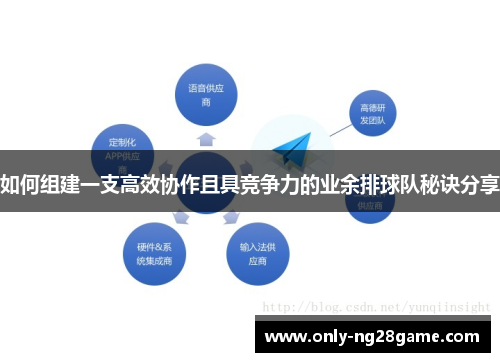 如何组建一支高效协作且具竞争力的业余排球队秘诀分享