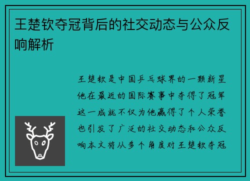 王楚钦夺冠背后的社交动态与公众反响解析