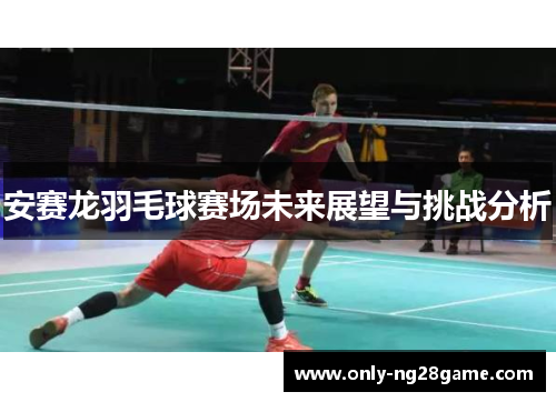 安赛龙羽毛球赛场未来展望与挑战分析