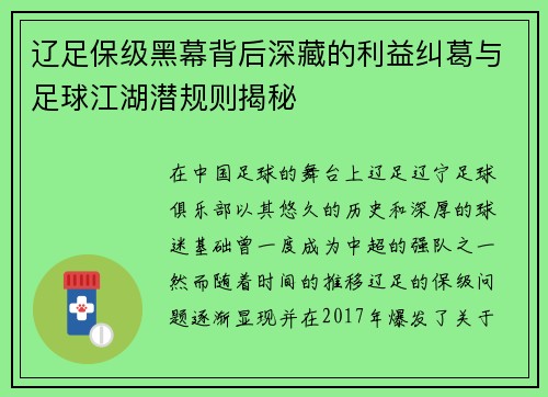 辽足保级黑幕背后深藏的利益纠葛与足球江湖潜规则揭秘