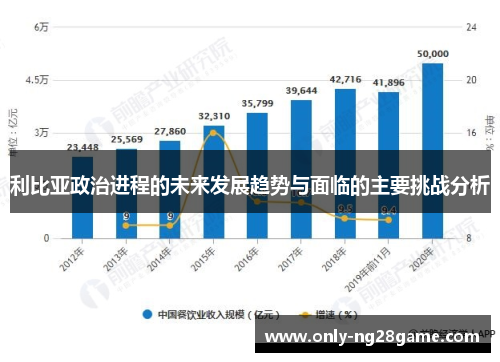 利比亚政治进程的未来发展趋势与面临的主要挑战分析