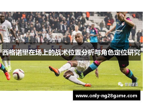 西格诺里在场上的战术位置分析与角色定位研究