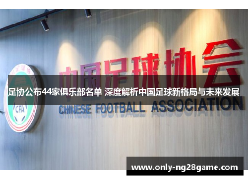 足协公布44家俱乐部名单 深度解析中国足球新格局与未来发展