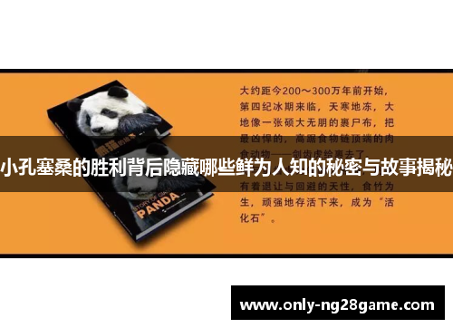 小孔塞桑的胜利背后隐藏哪些鲜为人知的秘密与故事揭秘