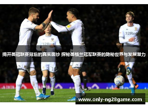 揭开英冠联赛背后的真实面纱 探秘英格兰冠军联赛的隐秘世界与发展潜力