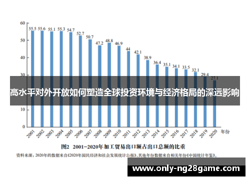高水平对外开放如何塑造全球投资环境与经济格局的深远影响
